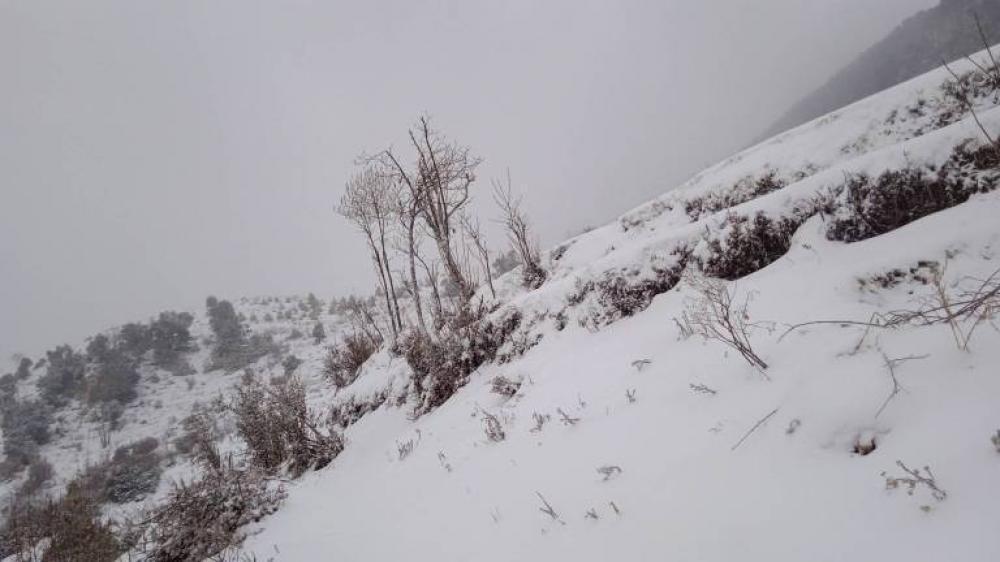 रामेछापको उच्च भू-भागमा हिमपात, हिमपात भएसँगै जनजीवन प्रभावित 