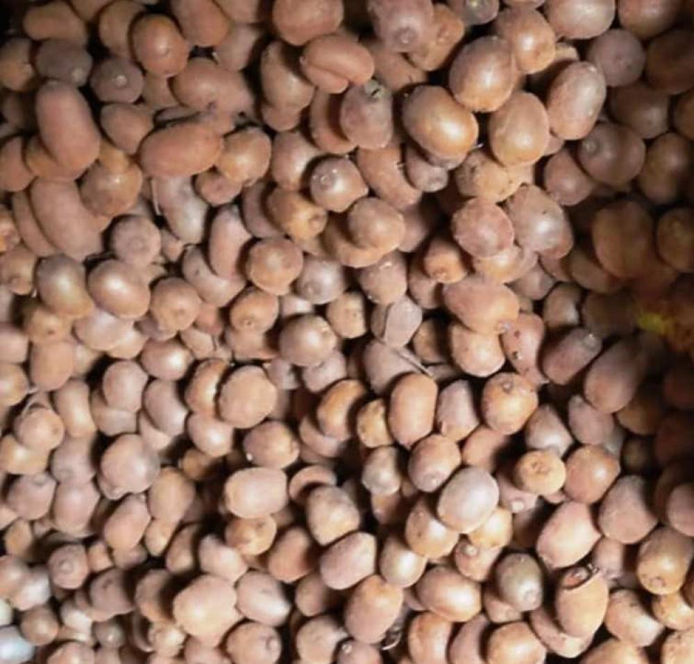 गोकुलगंगा गाउँपालिका कृषिबाट समृद्धि खोज्दै 